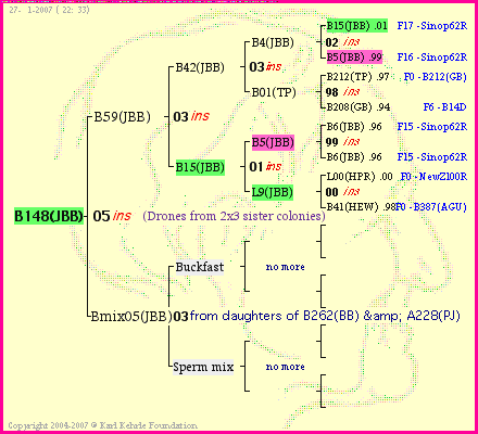 Pedigree of B148(JBB) :
four generations presented