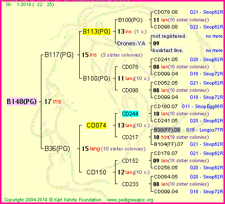 Pedigree of B148(PG) :
four generations presented
it's temporarily unavailable, sorry!