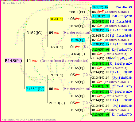 Pedigree of B148(PJ) :
four generations presented