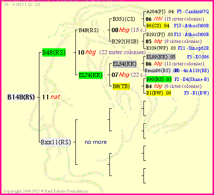 Pedigree of B148(RS) :
four generations presented