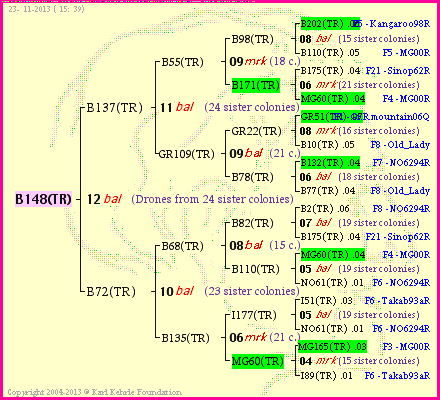 Pedigree of B148(TR) :
four generations presented