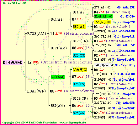 Pedigree of B149(AM) :
four generations presented