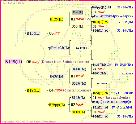 Pedigree of B149(JL) :
four generations presented