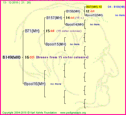 Pedigree of B149(MH) :
four generations presented<br />it's temporarily unavailable, sorry!