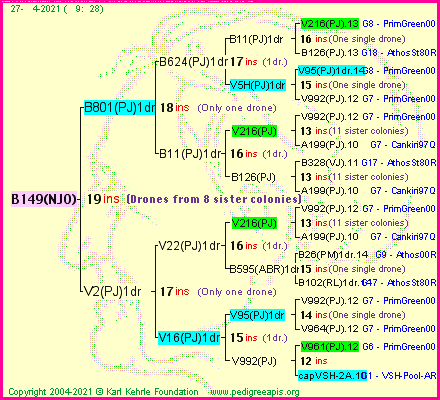 Pedigree of B149(NJO) :
four generations presented
it's temporarily unavailable, sorry!