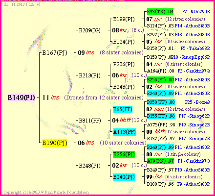 Pedigree of B149(PJ) :
four generations presented