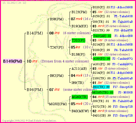 Pedigree of B149(PM) :
four generations presented