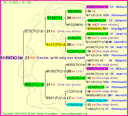 Pedigree of B149(TK)1dr :
four generations presented
it's temporarily unavailable, sorry!