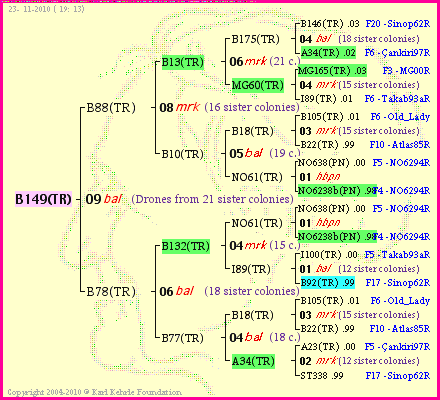 Pedigree of B149(TR) :
four generations presented