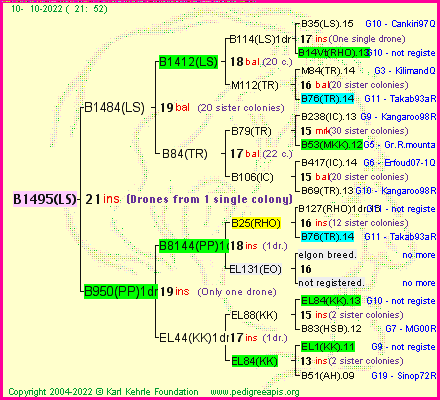 Pedigree of B1495(LS) :
four generations presented
it's temporarily unavailable, sorry!