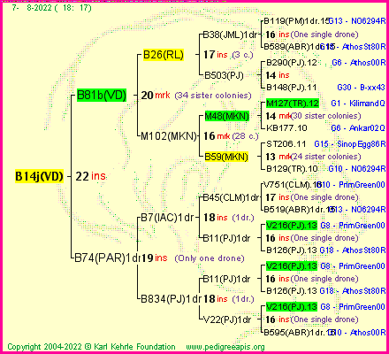 Pedigree of B14j(VD) :
four generations presented
it's temporarily unavailable, sorry!