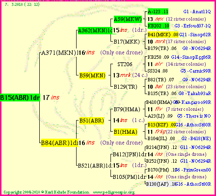 Pedigree of B15(ABR)1dr :
four generations presented