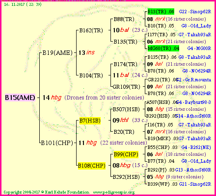 Pedigree of B15(AME) :
four generations presented