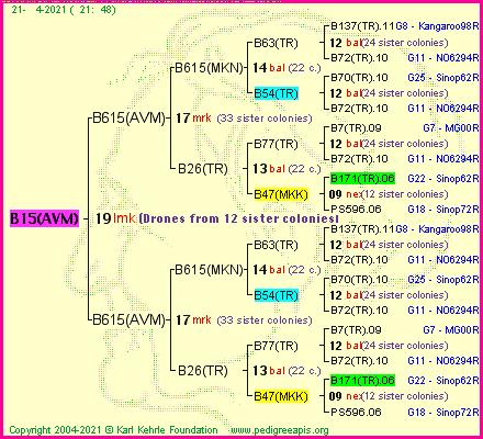 Pedigree of B15(AVM) :
four generations presented
it's temporarily unavailable, sorry!