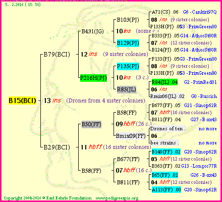 Pedigree of B15(BCI) :
four generations presented