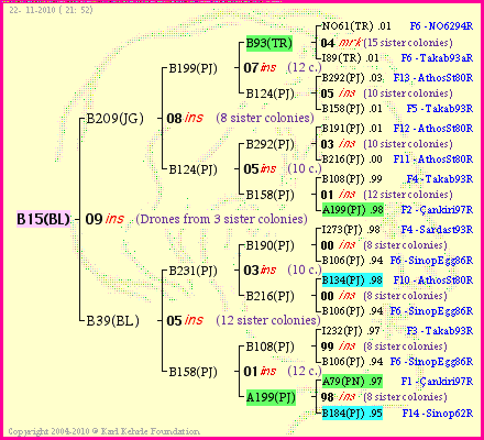 Pedigree of B15(BL) :
four generations presented