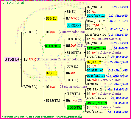 Pedigree of B15(FB) :
four generations presented