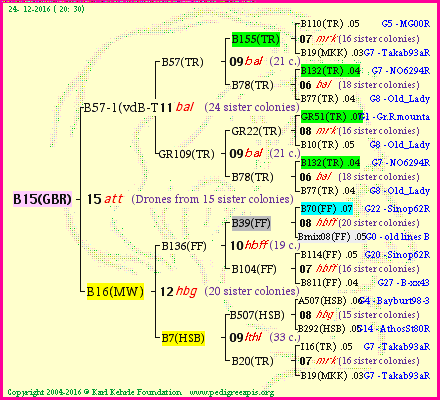 Pedigree of B15(GBR) :
four generations presented<br />it's temporarily unavailable, sorry!