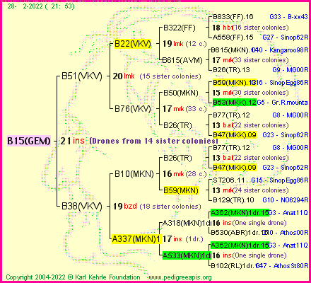 Pedigree of B15(GEM) :
four generations presented
it's temporarily unavailable, sorry!