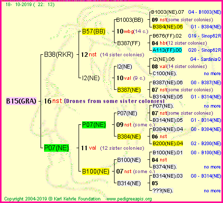 Pedigree of B15(GRA) :
four generations presented
it's temporarily unavailable, sorry!