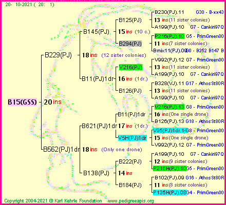 Pedigree of B15(GSS) :
four generations presented
it's temporarily unavailable, sorry!