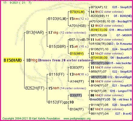 Pedigree of B15(HAR) :
four generations presented
it's temporarily unavailable, sorry!