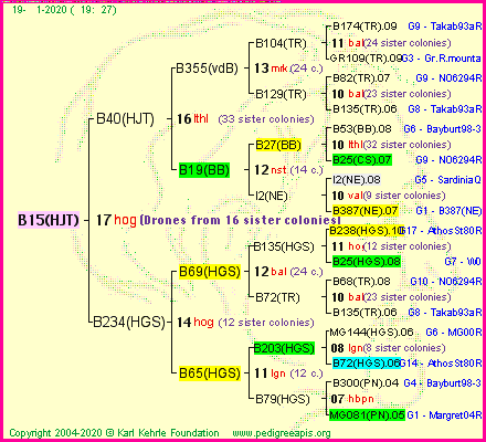 Pedigree of B15(HJT) :
four generations presented<br />it's temporarily unavailable, sorry!