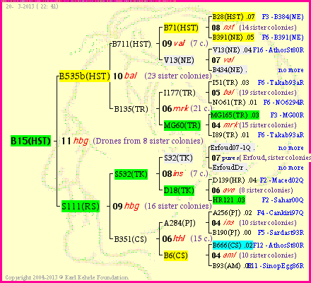 Pedigree of B15(HST) :
four generations presented