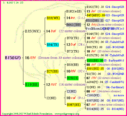 Pedigree of B15(IGF) :
four generations presented