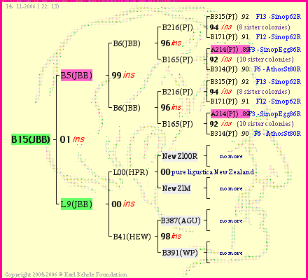 Pedigree of B15(JBB) :
four generations presented