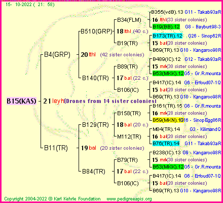 Pedigree of B15(KAS) :
four generations presented
it's temporarily unavailable, sorry!