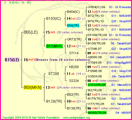 Pedigree of B15(LE) :
four generations presented
it's temporarily unavailable, sorry!