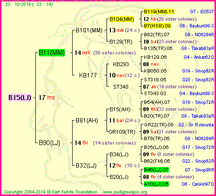 Pedigree of B15(LJ) :
four generations presented
it's temporarily unavailable, sorry!