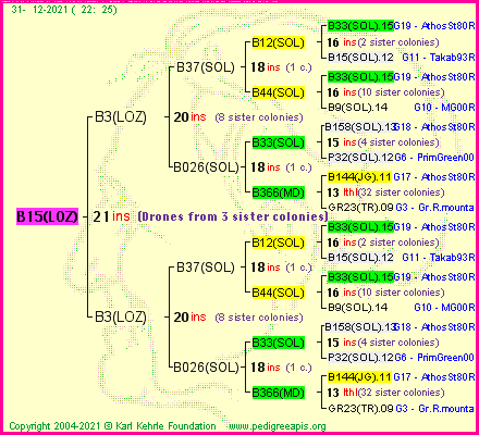 Pedigree of B15(LOZ) :
four generations presented
it's temporarily unavailable, sorry!