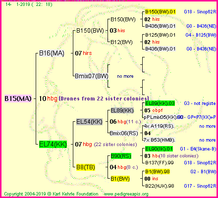 Pedigree of B15(MA) :
four generations presented<br />it's temporarily unavailable, sorry!