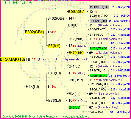 Pedigree of B15(MAK)1dr :
four generations presented<br />it's temporarily unavailable, sorry!