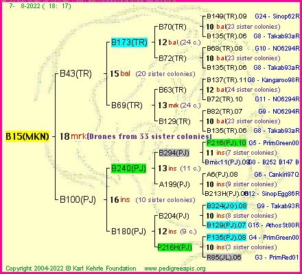 Pedigree of B15(MKN) :
four generations presented
it's temporarily unavailable, sorry!