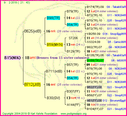 Pedigree of B15(NIK) :
four generations presented
it's temporarily unavailable, sorry!