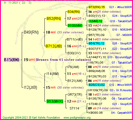 Pedigree of B15(RN) :
four generations presented
it's temporarily unavailable, sorry!