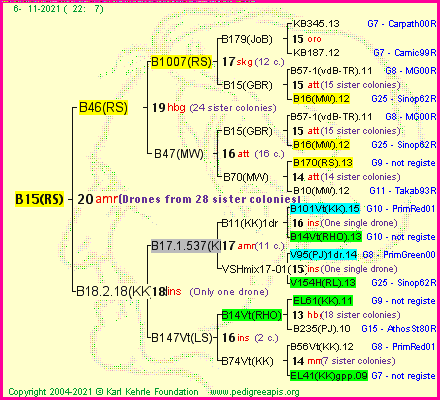 Pedigree of B15(RS) :
four generations presented
it's temporarily unavailable, sorry!