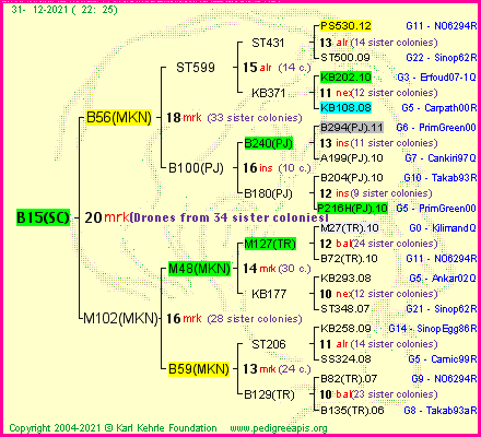 Pedigree of B15(SC) :
four generations presented
it's temporarily unavailable, sorry!