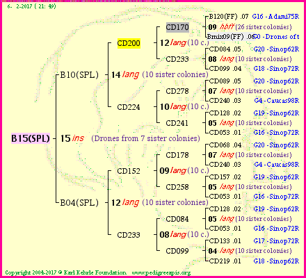 Pedigree of B15(SPL) :
four generations presented<br />it's temporarily unavailable, sorry!