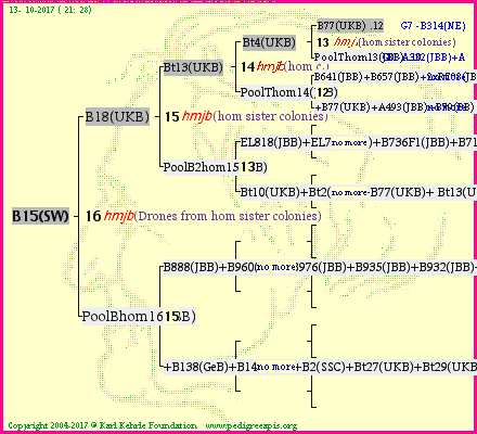 Pedigree of B15(SW) :
four generations presented<br />it's temporarily unavailable, sorry!