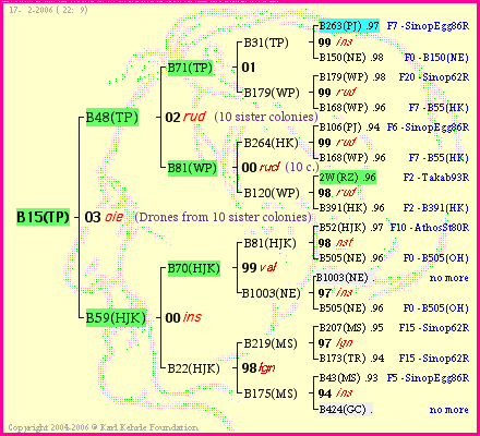 Pedigree of B15(TP) :
four generations presented