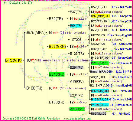 Pedigree of B15(VIP) :
four generations presented
it's temporarily unavailable, sorry!