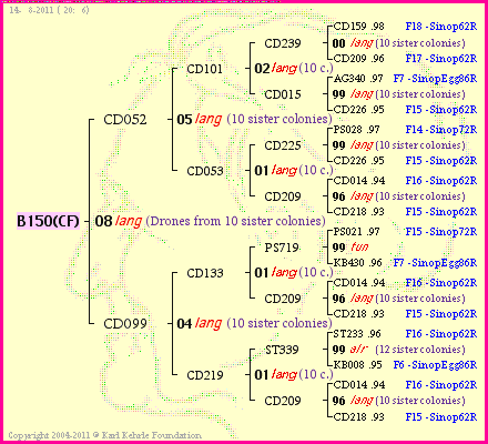 Pedigree of B150(CF) :
four generations presented
