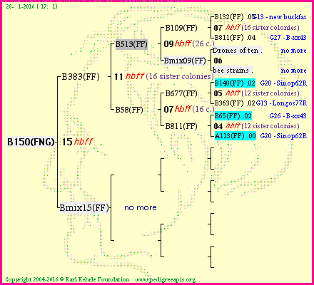 Pedigree of B150(FNG) :
four generations presented