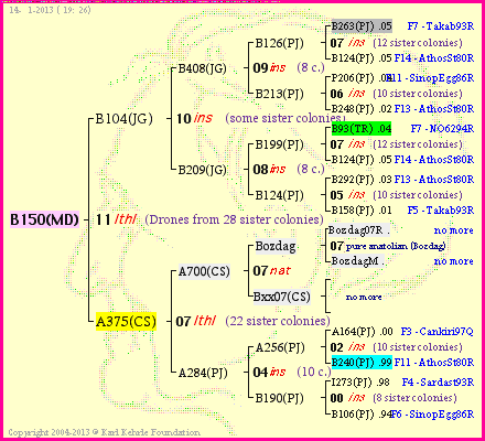 Pedigree of B150(MD) :
four generations presented