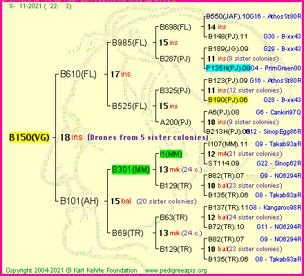 Pedigree of B150(VG) :
four generations presented
it's temporarily unavailable, sorry!