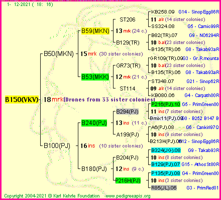 Pedigree of B150(VKV) :
four generations presented
it's temporarily unavailable, sorry!